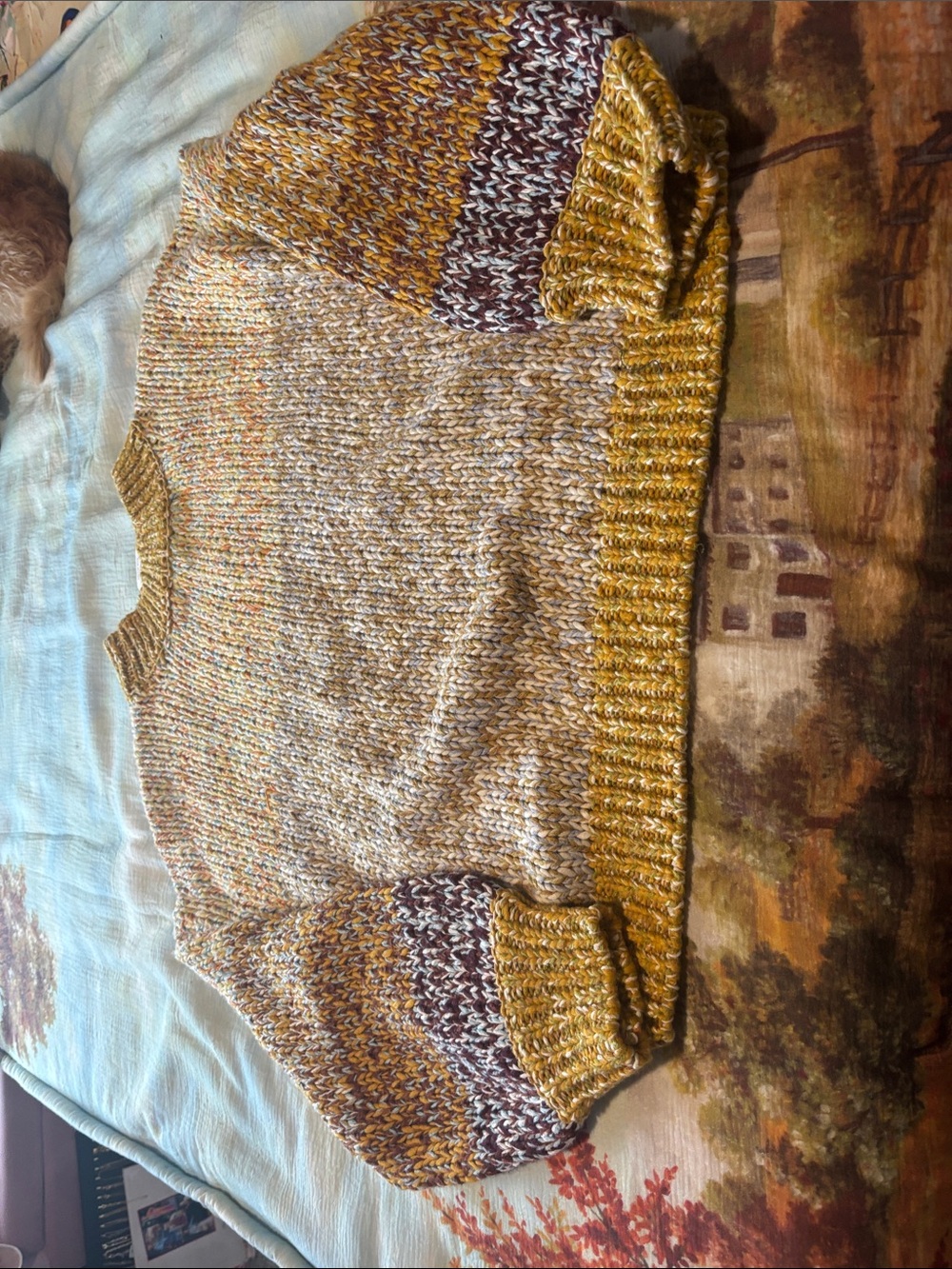 Sweater - Picture 4 of 4